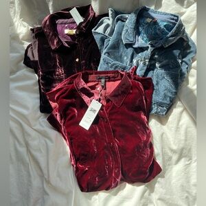 Maeve, Eileen Fisher, Pilcro Fall velvet button up bundle!